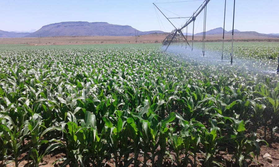 5 Bedroom Property for Sale in Queenstown Rural Eastern Cape